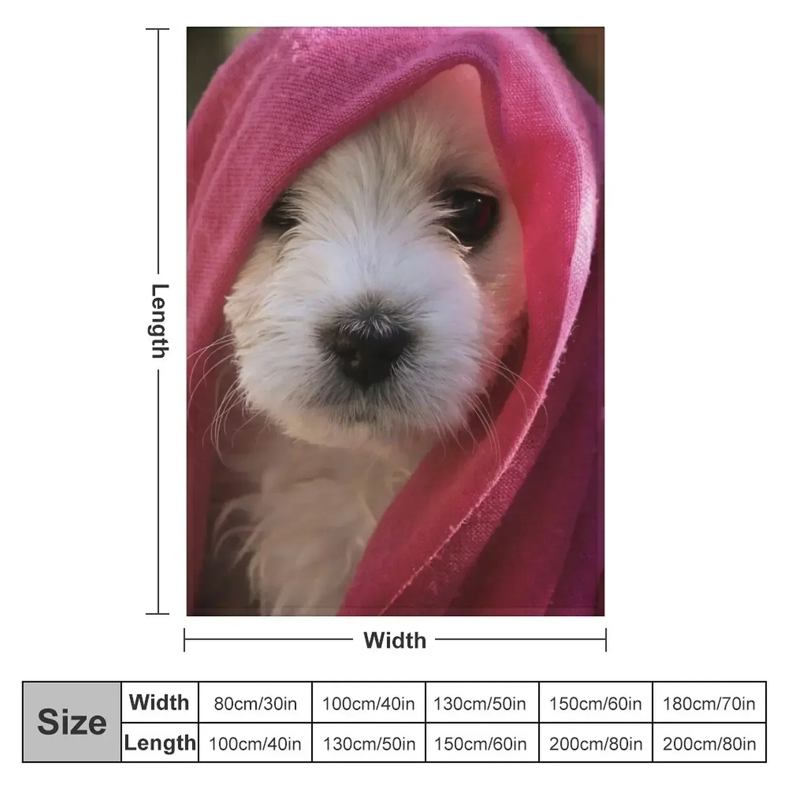 Gypsy ~ Bichon Throw Blanket warm for winter Picnic sofa bed Flannel Cute Plaid Summer Blankets