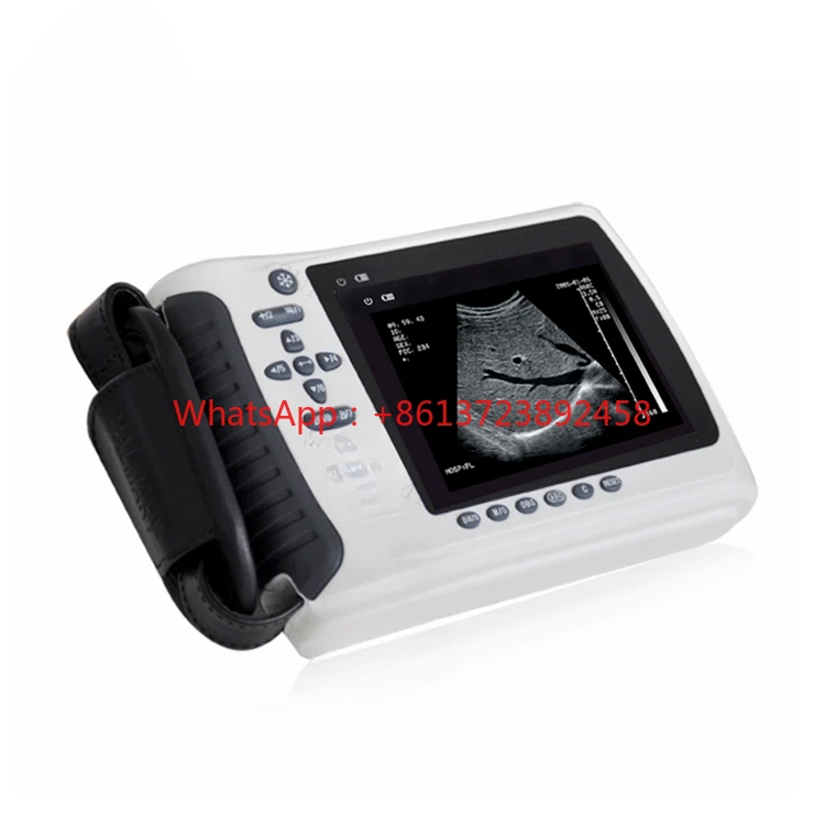 

SY-A014 Vet Products Pig Sheep Ultrasound Veterinary Usg