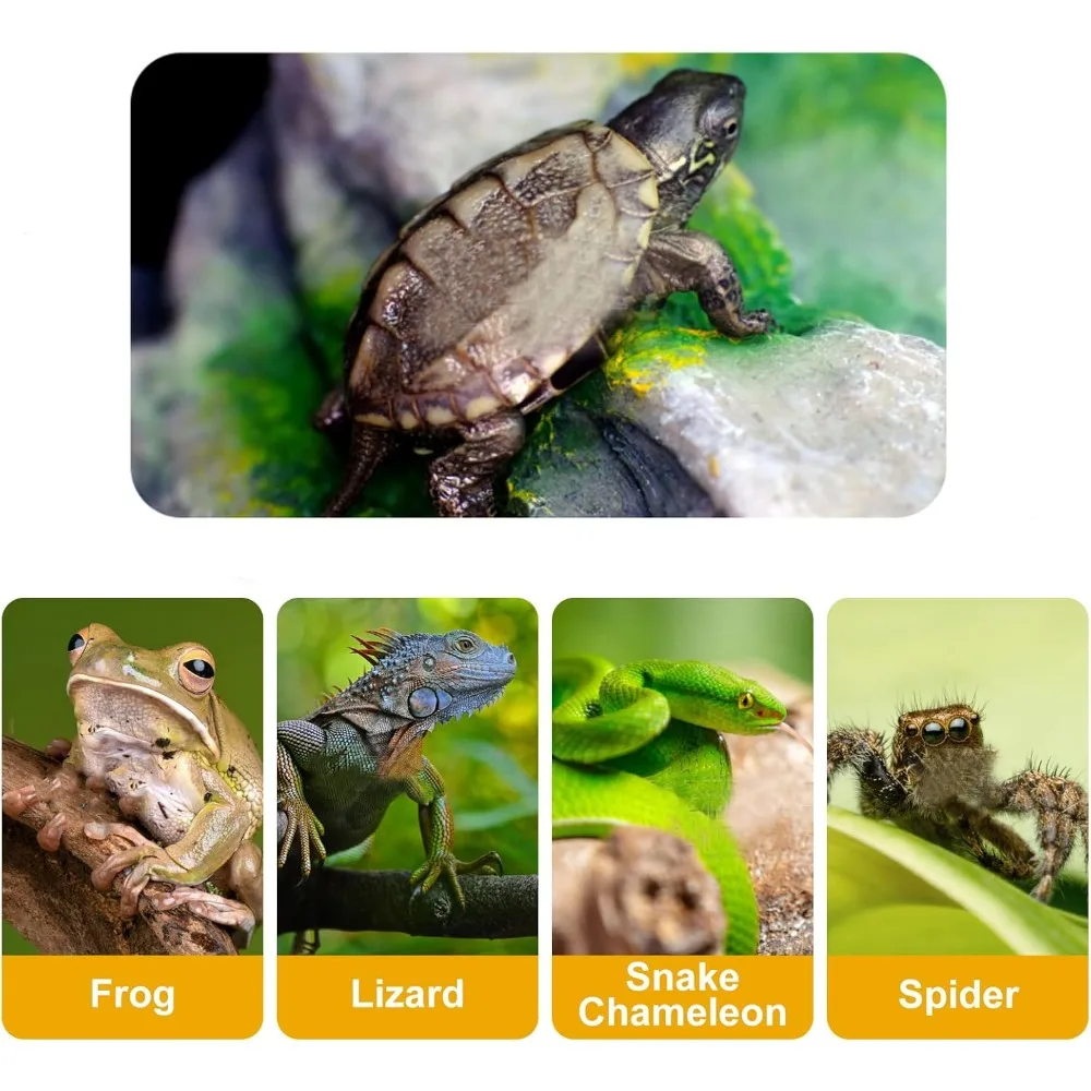 Reptilien-Badebecken, Reptilien-Futternapf, Wassernapf mit Rampe, Aquarium-Ornament für Schlange, Schildkröte, Bartagamen, Eidechsenbad – Detail 20