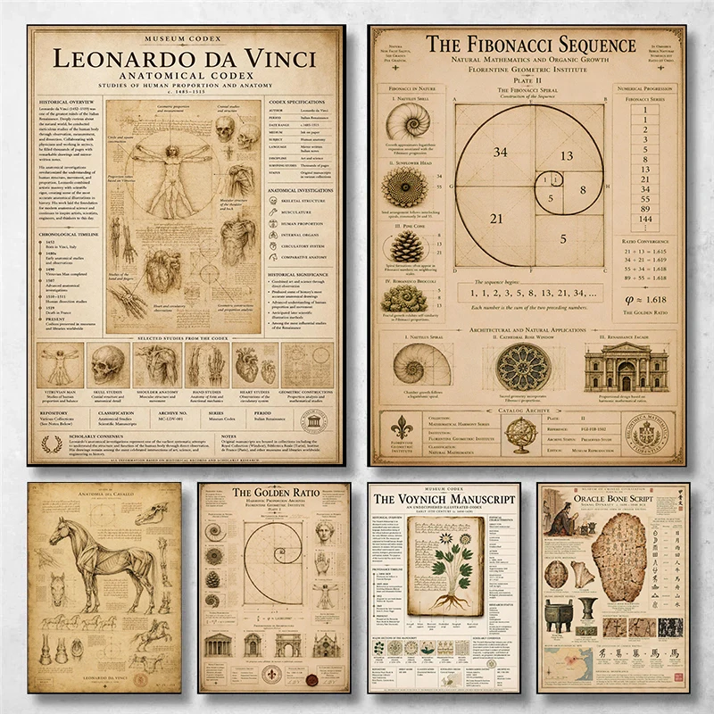Vintage Museum Ancient Chinese Oracle Bone Script Poster Mathematical Harmony Prints Canvas Painting Wall Art Picture Home Decor