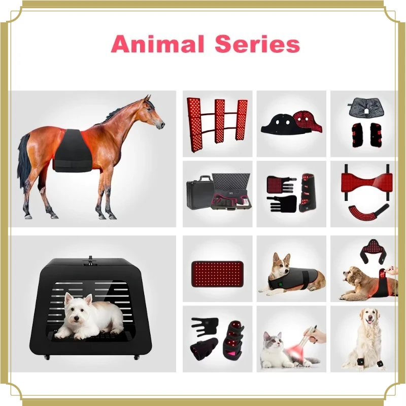 Model SG-HS-FT Premium Equine Light Care Equipment with 110 LED Array Stable Output for Daily Horse Surface Maintenance