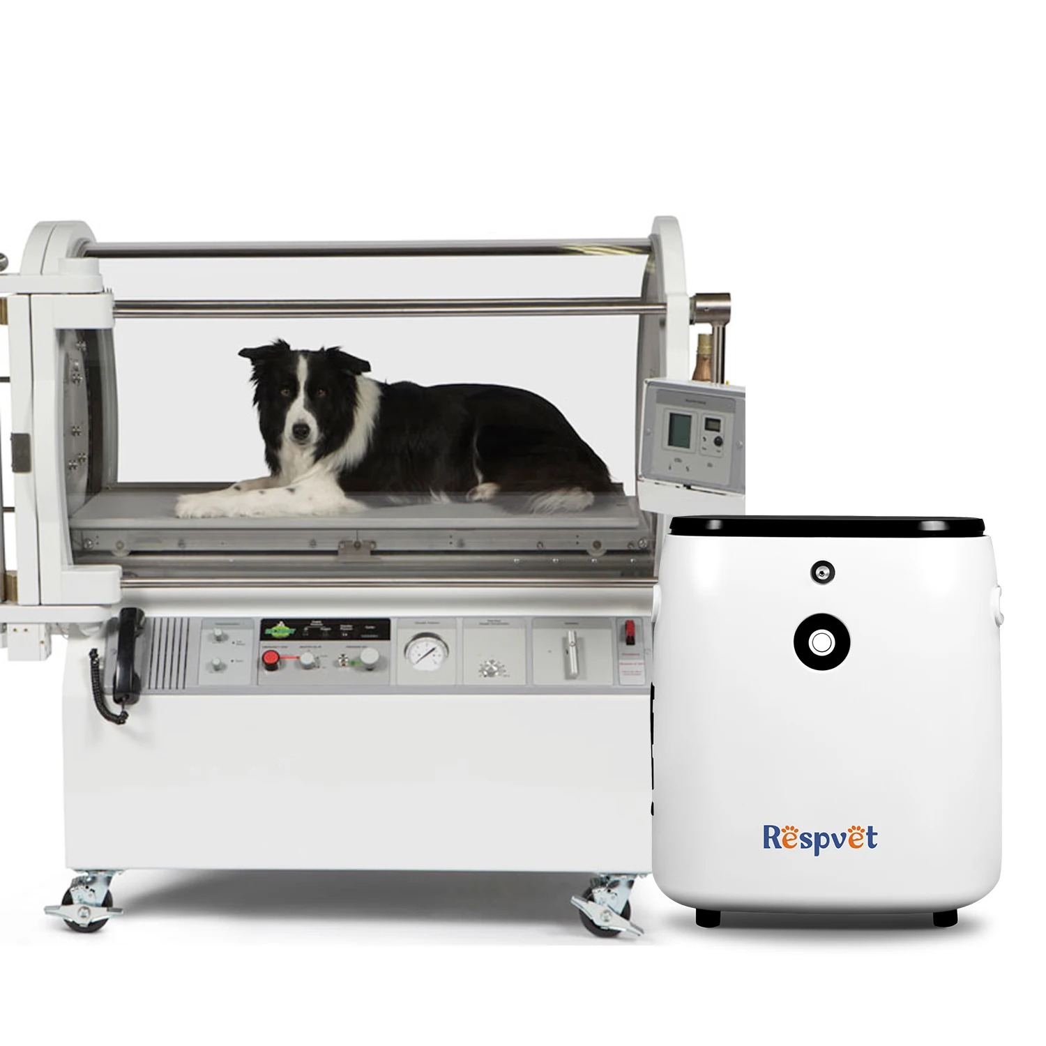 2026 Longfian Vet with 1-7L Flow Oxygen Concentrator for Dog Cat Therapy and Animals Incubatorin stock