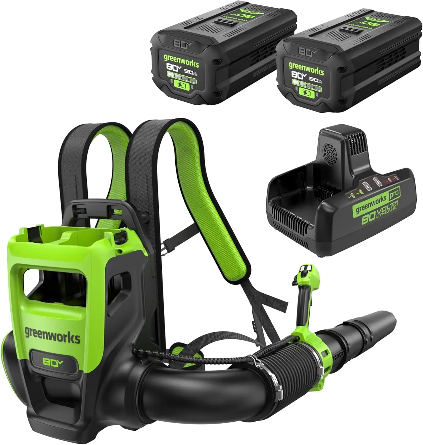 80V (800 CFM) Dual Port Backpack Blower with (2) 5.0 Ah Batteries, Dual Port Rapid Charger