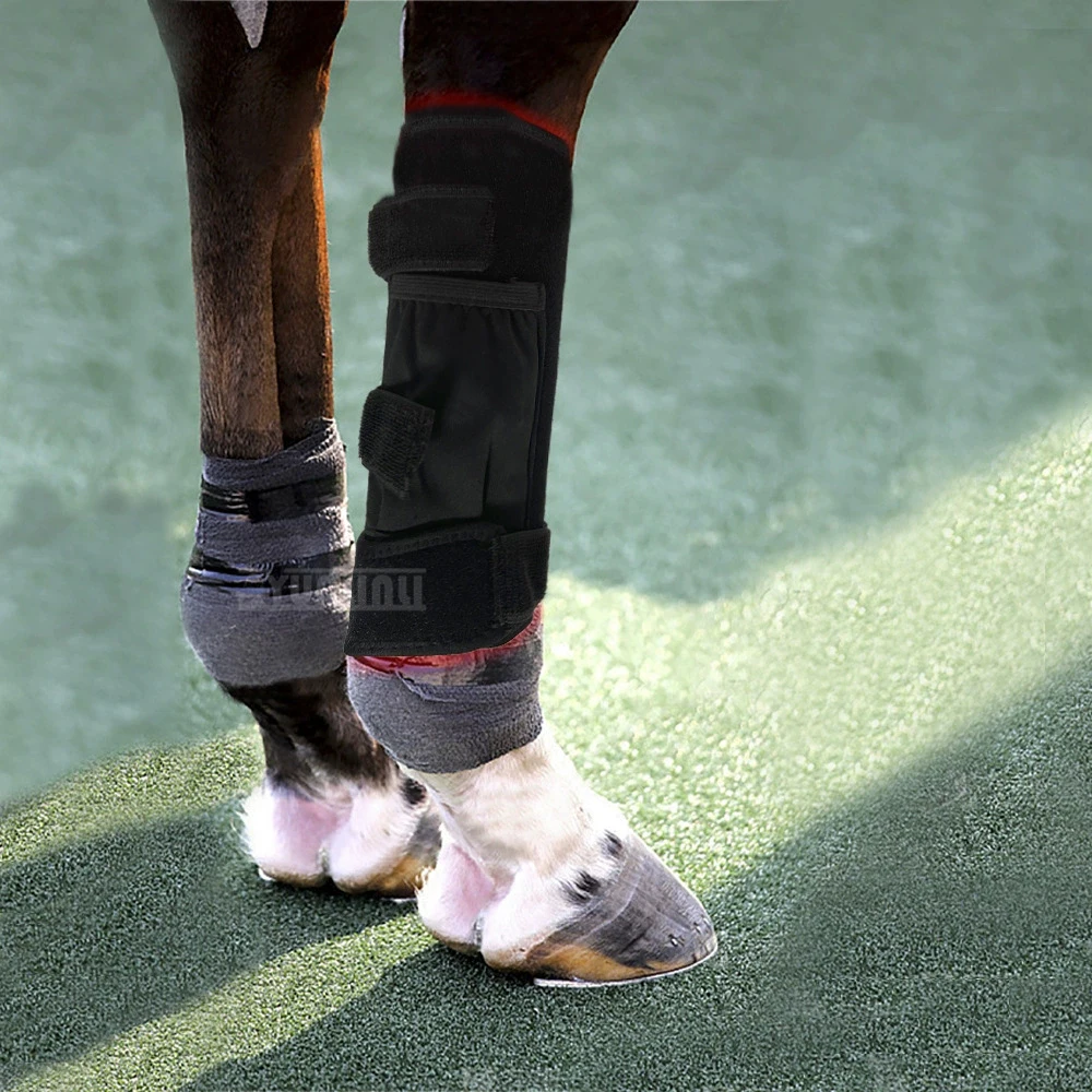 

Light Equine Feet Boot Head Back 660nm 850nm Infrared LED for horse