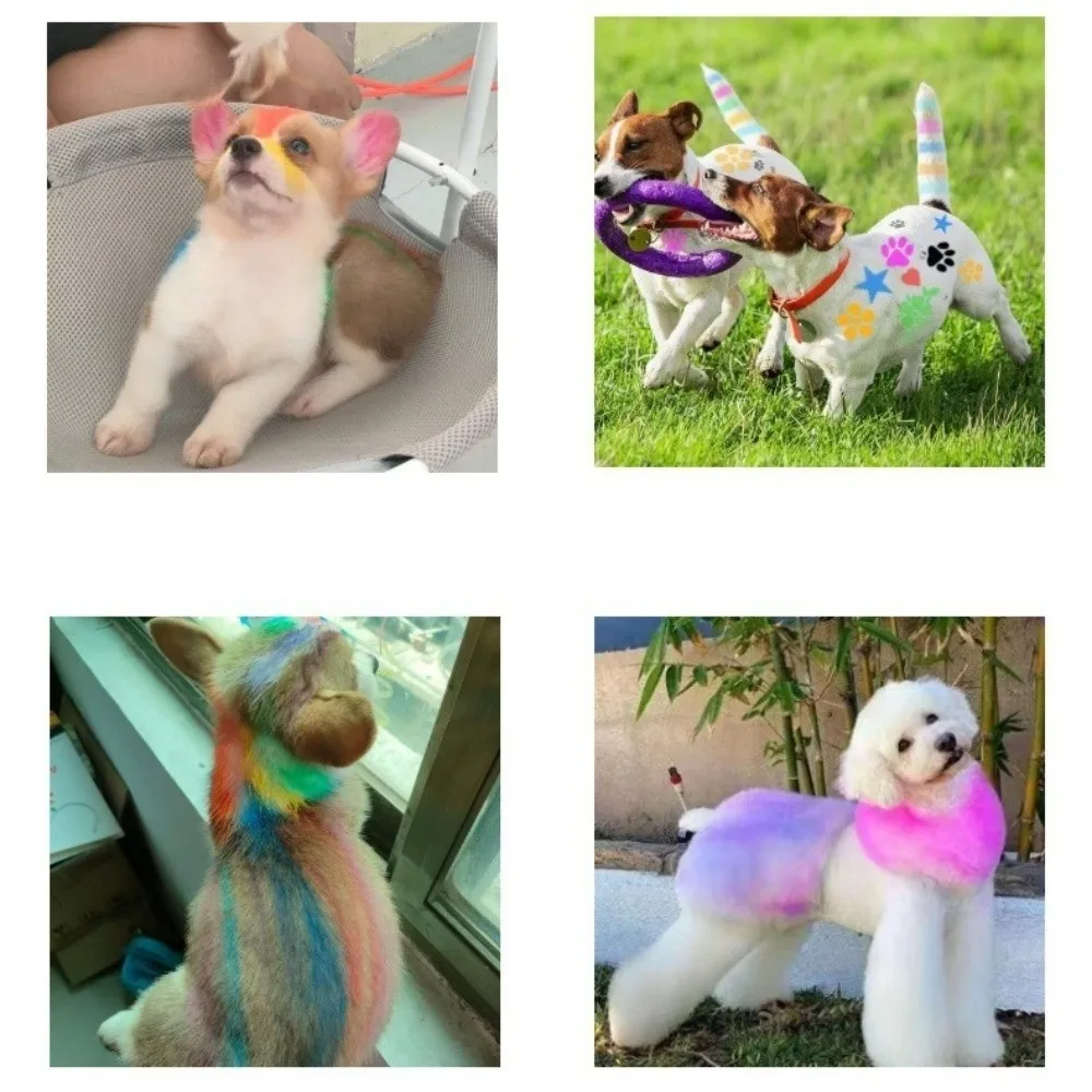 Pet Safe 12 Colors Pet Hair Dye Stick Washable Non-Toxic Dog Hair Dye Water Soluble Disposable Animal Marker Dog Coloring