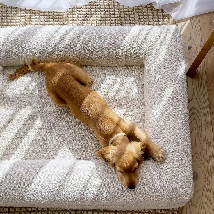 

Removable Material Pet Nestfor Pets Animal Pattern Nest Type Kennel Sofa Best Seller Waterproof Cat Orthopedic Memory Foam