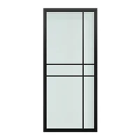 Wholesale Steel Frame Door with Tempered Glass Interior Double Pivot Doors 2
