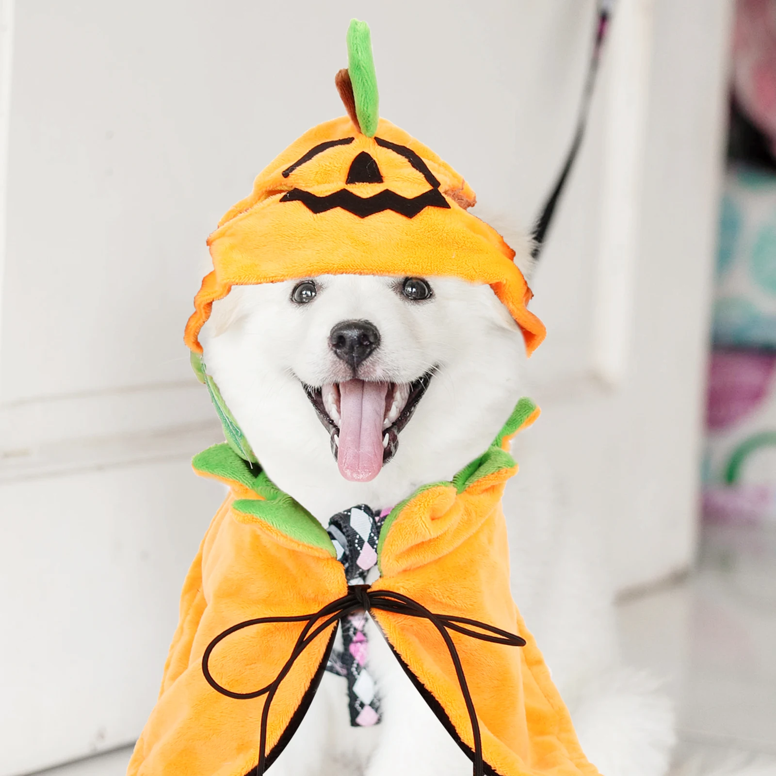

1Set Halloween Pet Cloak Hat Costume Comfortable Soft Material Dog Cat Cosplay Party Photo Props Festival Accessories