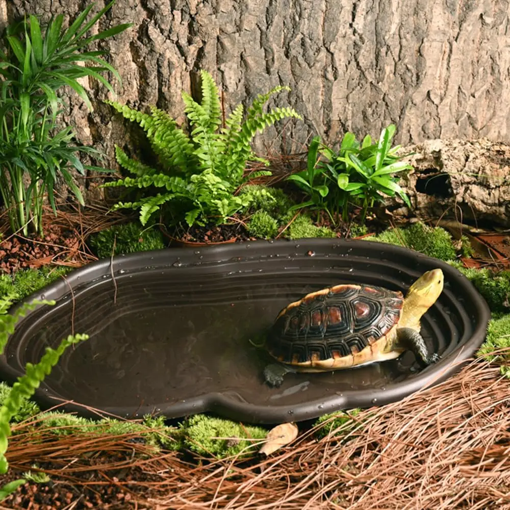 Thumbnail 3 - #57 Trending Reptile Water Bowls Right Now