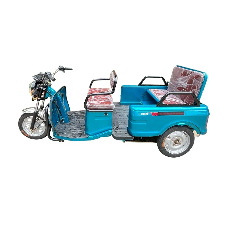 Hot Sale 850W Electric Rickshaw Trike from China Factory 1000W Power Open Body Cargo Tricycle with Iron Material Popular Design