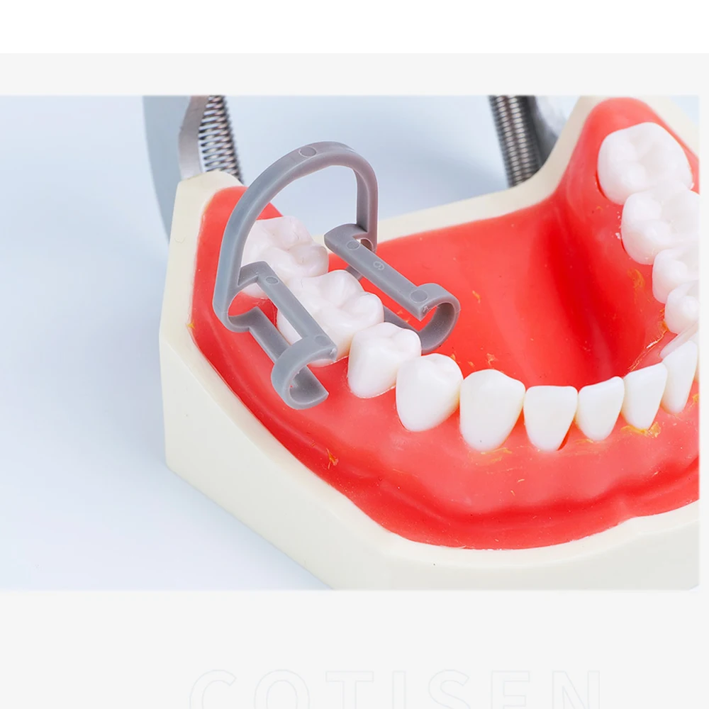 Disposable Plastic Cotton Roll Holder Clip Oral Beauty Accessory Cotton Strip Fixing Clip For Teeth Care Salon Use