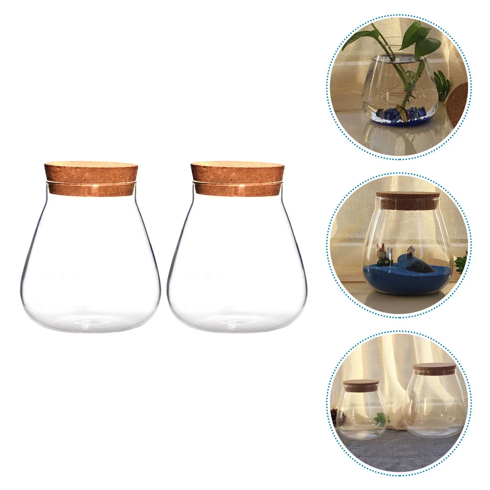 Vase with Cork Wide Top Glass Bottle Micro Landscape Jar Decorative Empty Self Sustaining Terrarium Flower Pots