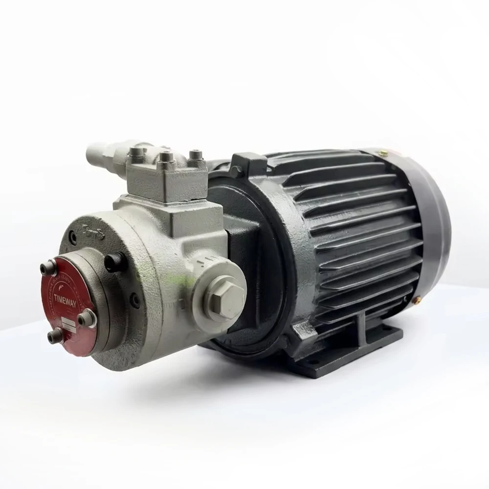 Hydraulic Motor TK3020 Motor 3020 Hydraulic Motor Unit Hydraulic Electric Motor Pump Group TK-3020 Oil Pump Cycloid Motor