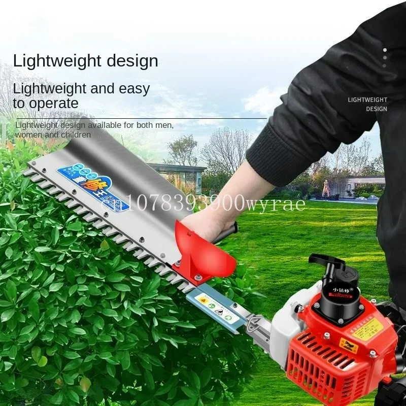 Gasoline Hedge Trimmer Tea Tree Landscaping Pruning Thick Branches And Then Trimming Hedge Shears Garden