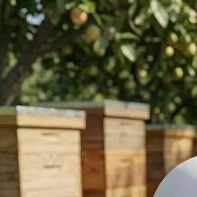 White Plastic Bee Hat with Adjustable Chin Strap and Ventilation Holes for Secure Comfort in Hive Environments