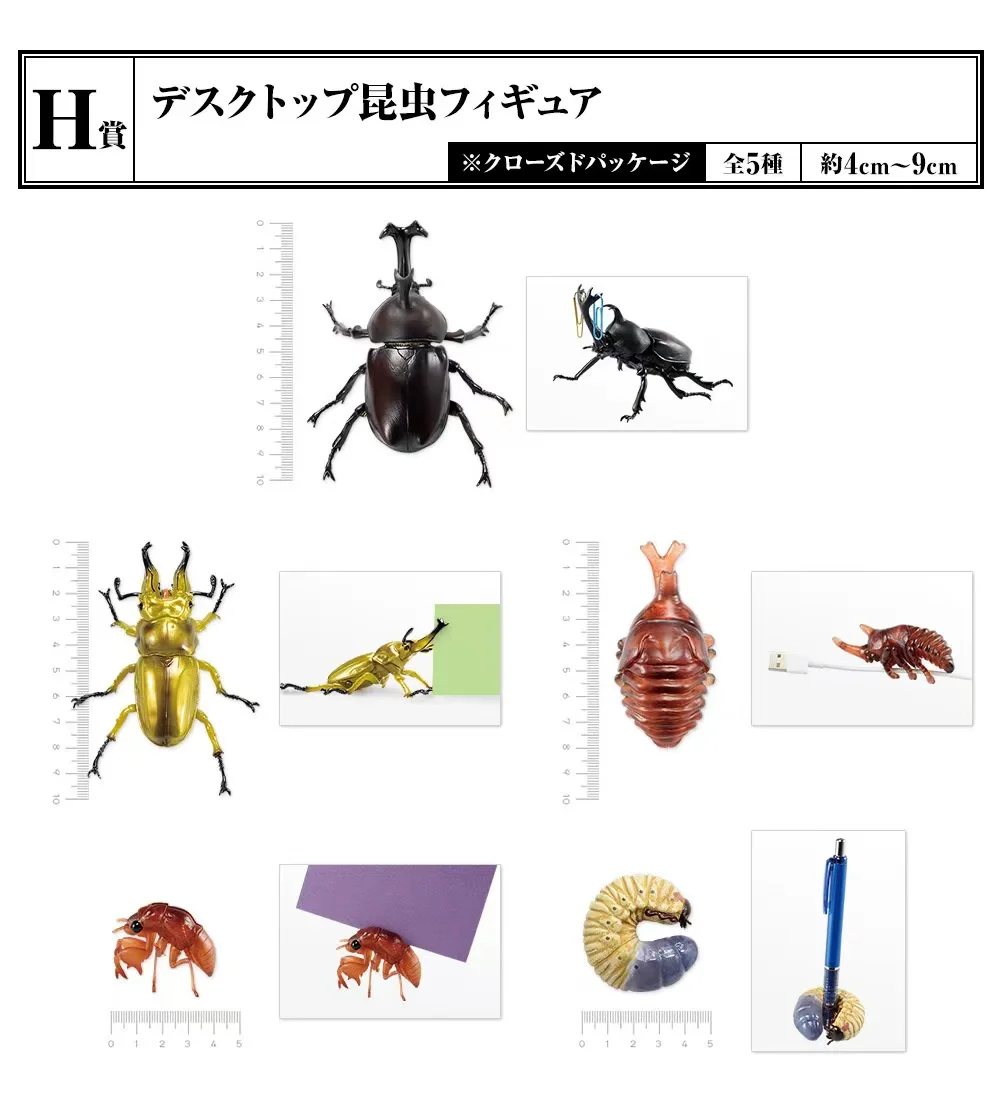 Bandai-figura DE ACCIÓN DE Lucanidae, juguete de ensamblaje de insectos biomiméticos, modelo de Gacha genuino japonés a escala, modelo cognitivo Animal