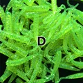D 0040