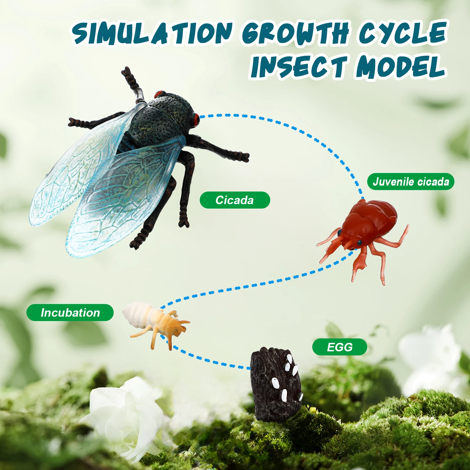 Educação científica brinquedos cognitivos cicada ciclo de vida estatuetas modelos de insetos realistas materiais seguros design resistente usos versáteis