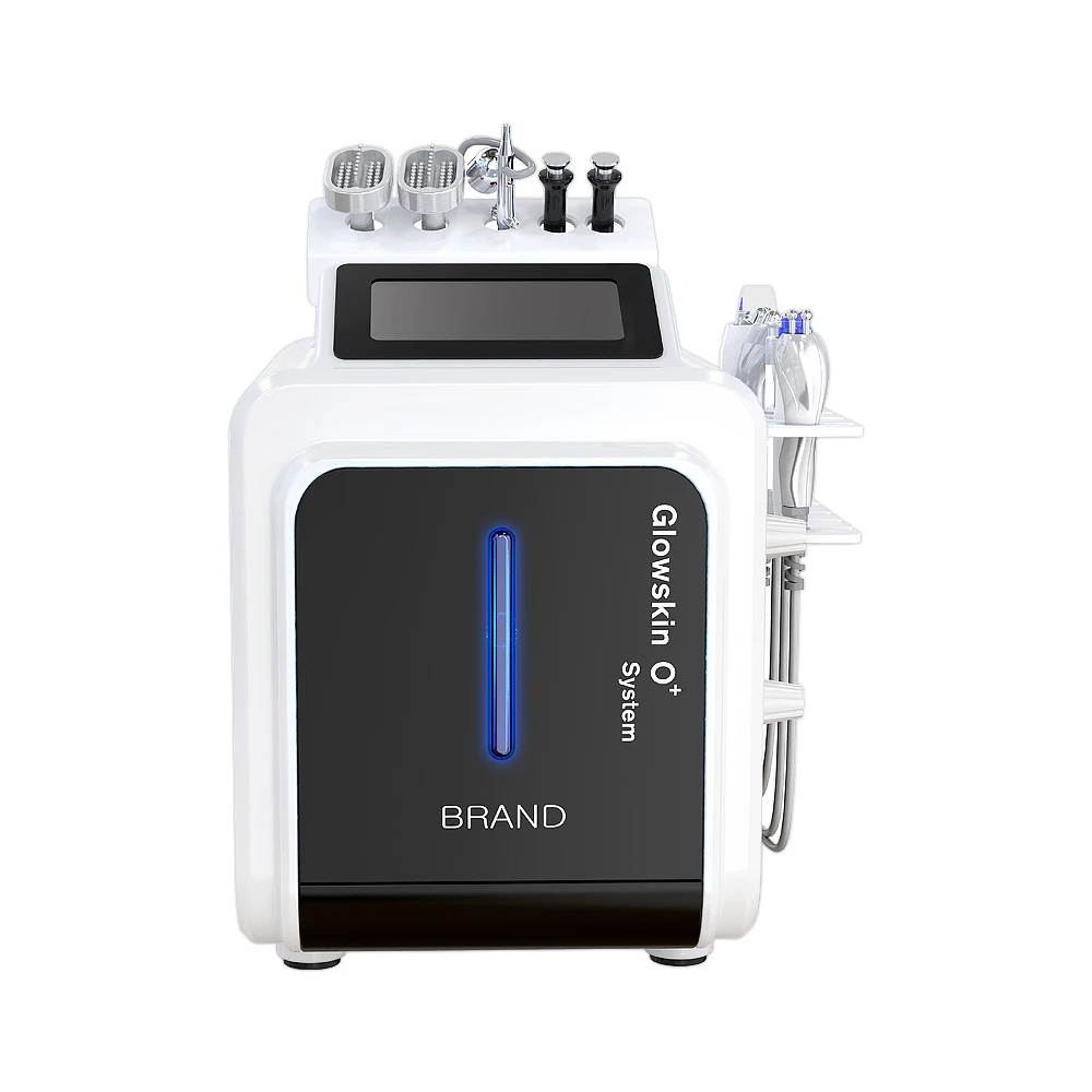 

10 in 1 Oxygen Jet Face Cleaning Freckle Removal Acne Removal Skin Rejuvenation Hydro Care Water Dermabrasion Facial Machine