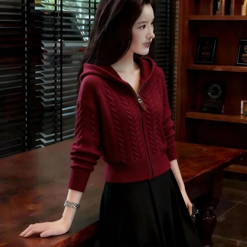 Ladies Autumn Winter Knitted Sweater Base Shirt Fashionable European Style Yarn Dyeing Long Sleeve Zipper Hoodie Regular Fit ...