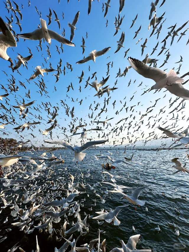 

2026 4000w 3 Waves diode laser hair removal machine 755nm 1064nm 808nm titanium Laser machine price