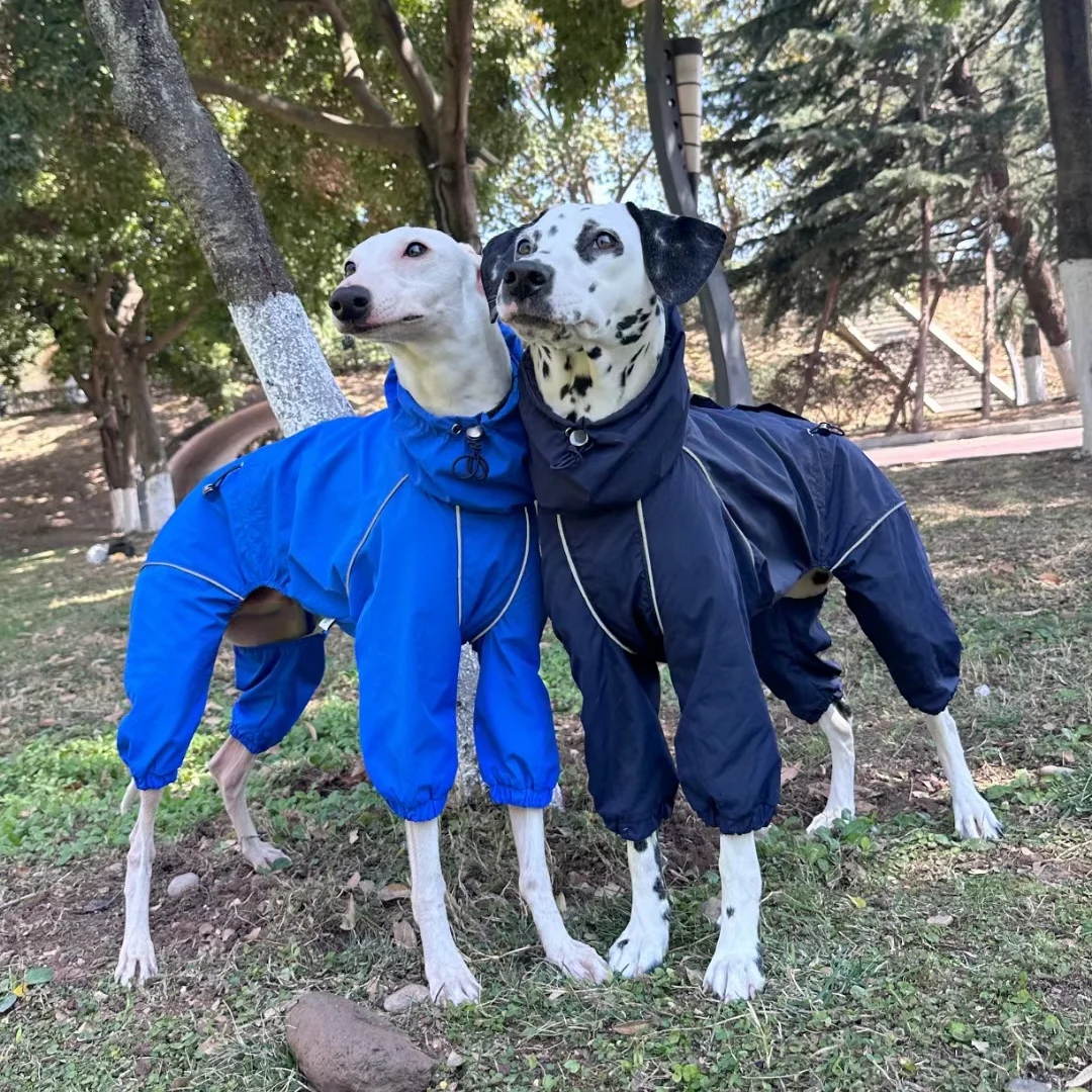 Spring Autumn Light Blue 4-legged Raincoat Windproof Rainproof Jacket for Italy Greyhound Inner Mesh Breathable Coat for Whippet