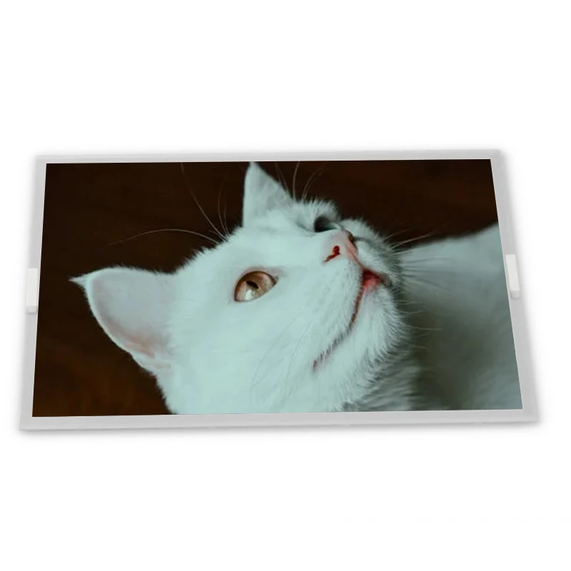 LQ104S1DG71 10.4 inch 800*600 TFT-LCD Display Screen Zhiyan supply