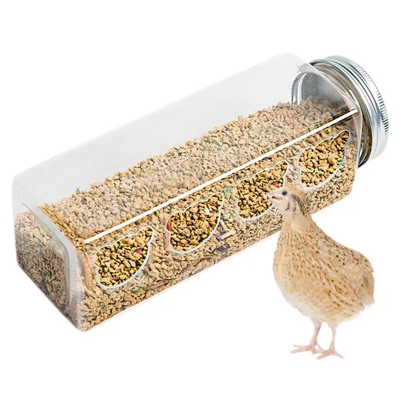 Quail Feeders No Waste 4 Cute Bear Feeding Ports Chicken Food Dispenser No Mess Portable Bottle Shaped Birdfeeders Cage