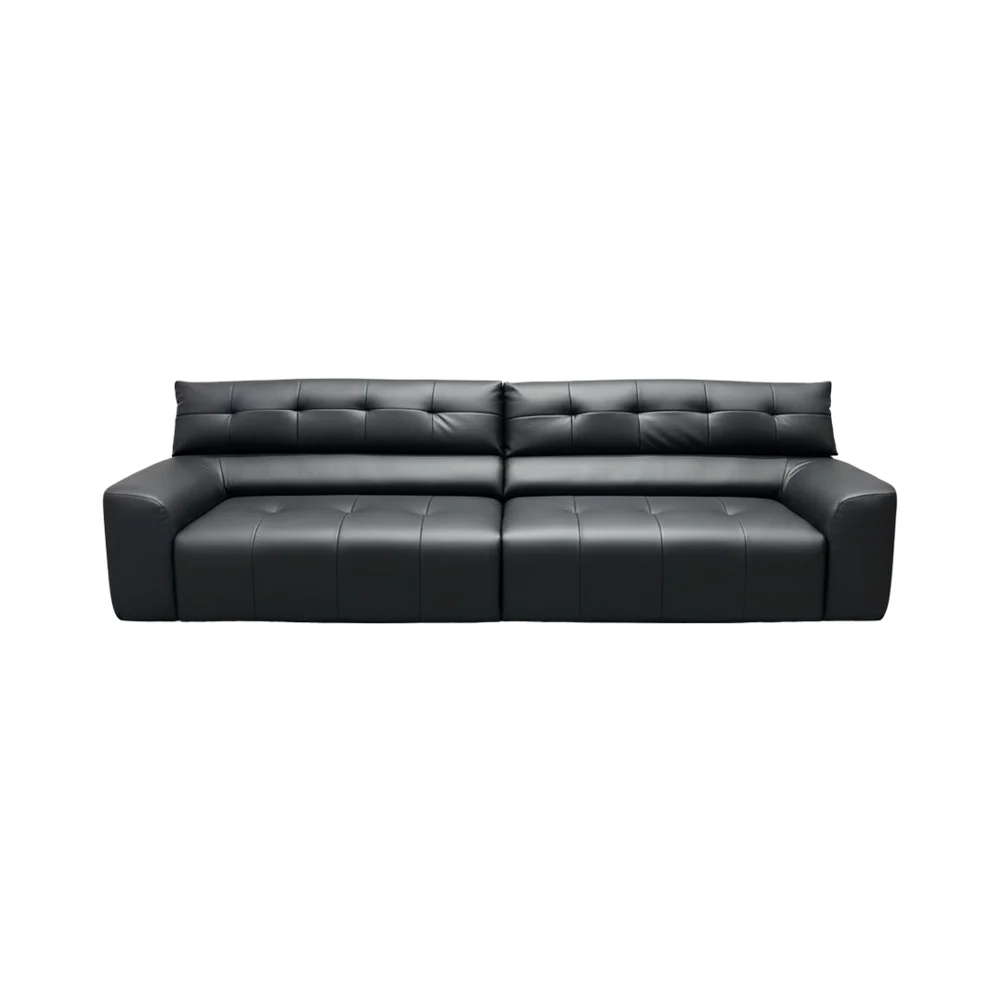 

m Modern Two-Seat Sofa Chair Extendable Functional Sofa with Genuine Leather Upholstery and Wood Frame m