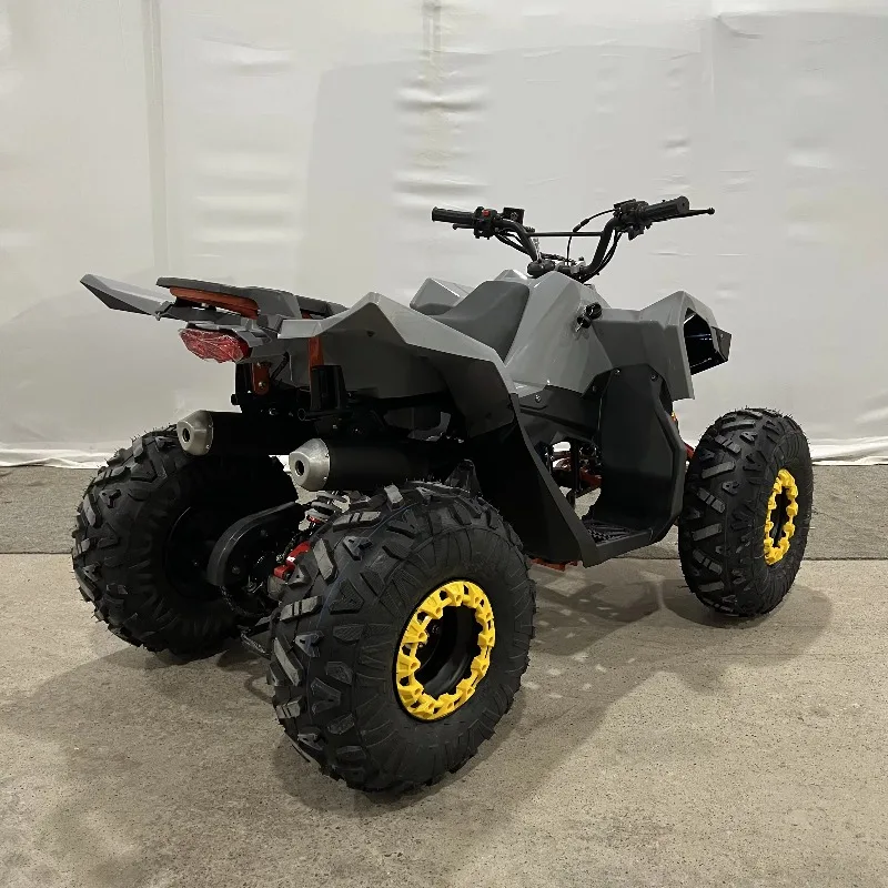 Beach Buggy All-Terrain Four-Wheel Off-Road Mountain Motorcycle Chain Drive Transmission