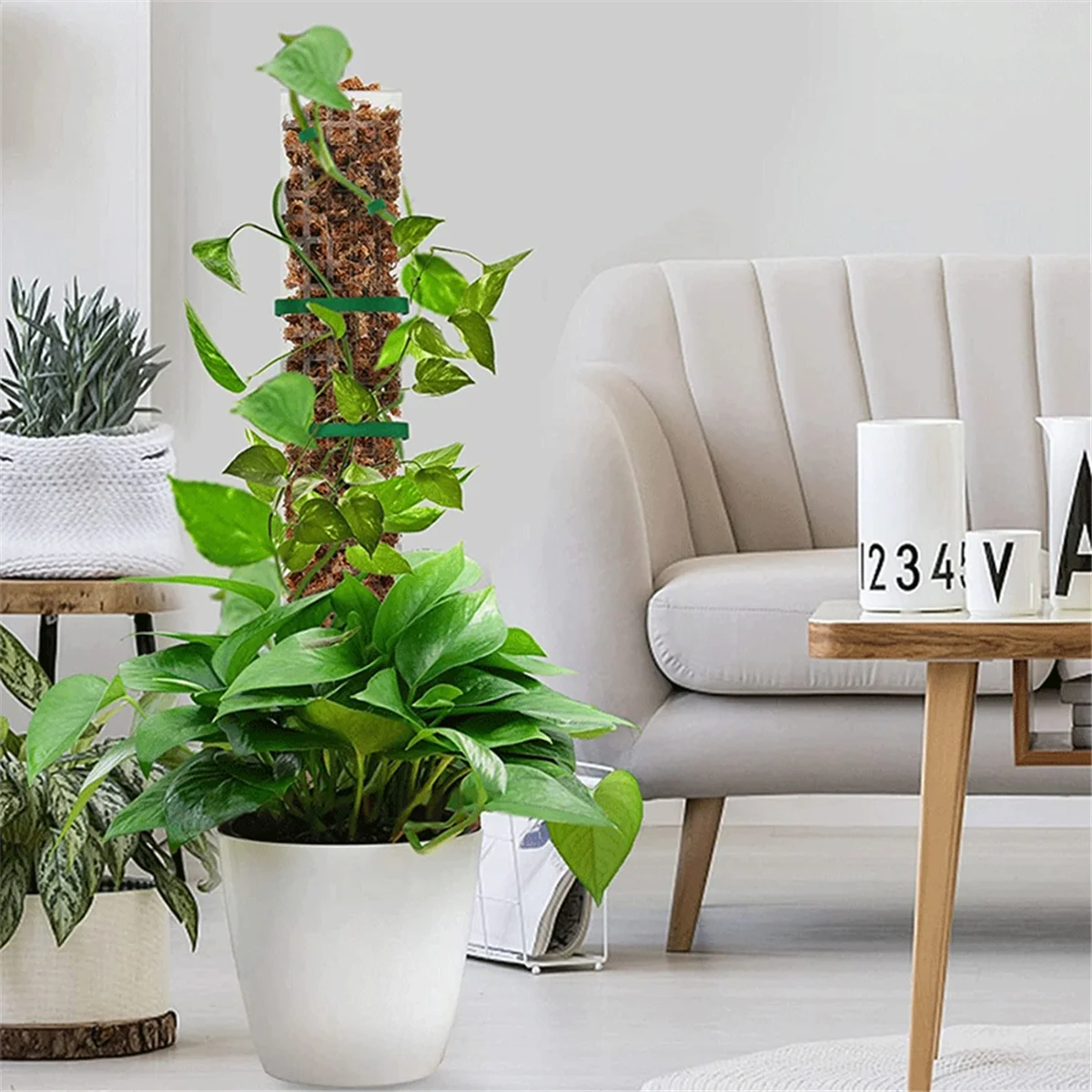 Soporte de plástico para plantas con poste de musgo, plantas trepadoras de interior, palo de musgo para plantas, accesorios de soporte para el crecimiento