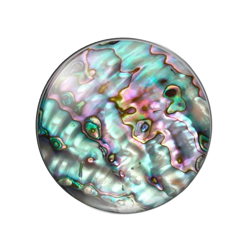 New Seashell abalone paua 10pcs 12mm/14mm/16mm/18mm20mm//25mm Round photo glass cabochon demo flat back Making findings