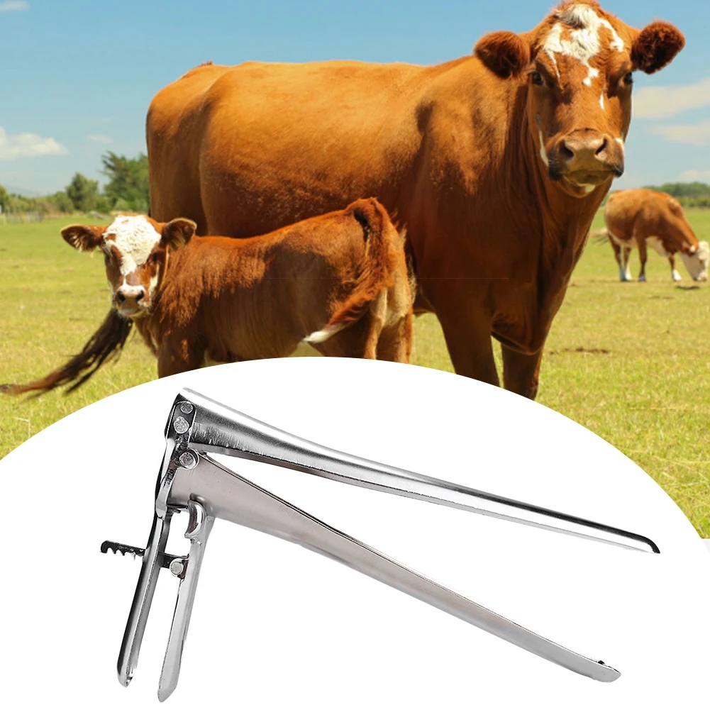 ZK20 Cow Cattle Vaginal Dilator Vaginal Speculum Livestock Opener Veterinary Instrument