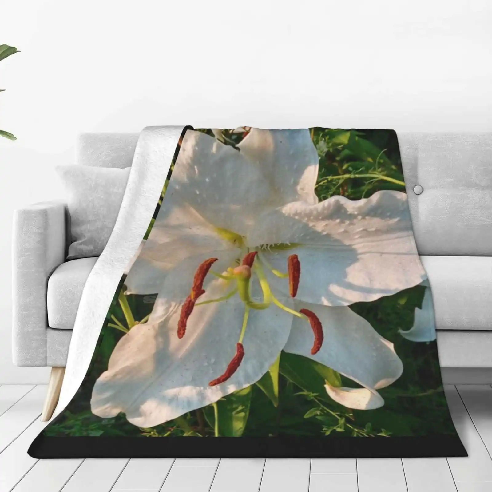 Brilliantly Illuminated Huge White Lily Inspires To Seek Enlightenment Latest Super Soft Warm Light Thin Blanket Huge White