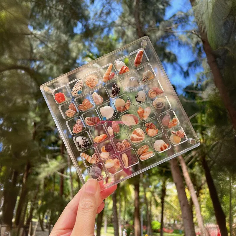 

Acrylic ell Storage Box Transparent Ro Specimen Picture Frame Display Insect Small Storage Box Ele Desktop Organizer