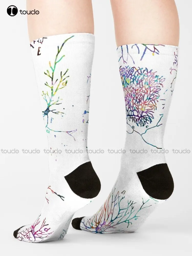 Human Nerve Cell Types Anatomy Socks Black Long Socks Personalized Custom Unisex Adult Teen Youth Socks Custom Gift Streetwear