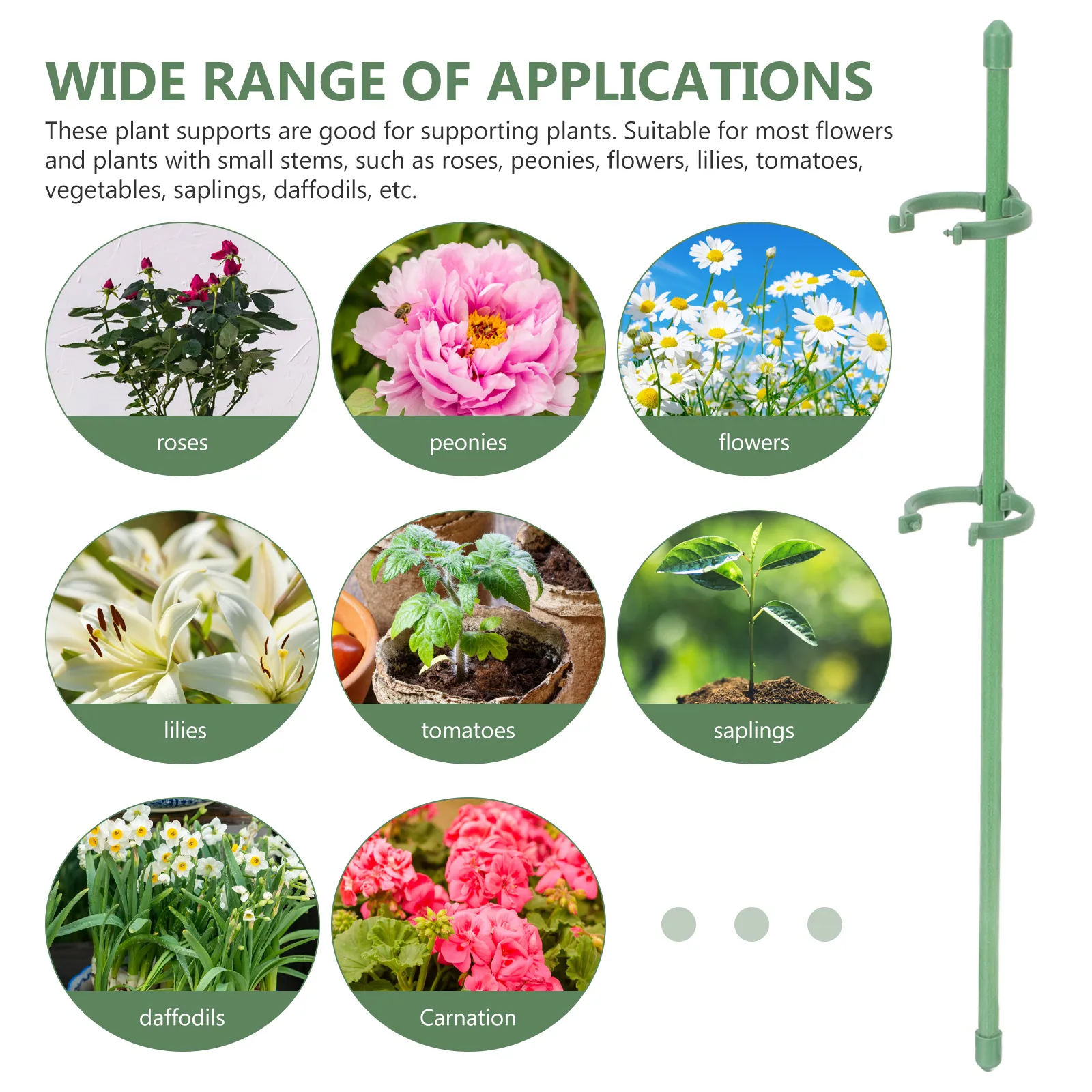 

10 Pcs Flower Stand Garden Stakes Orchid Support Rod Indoor Plants for Phalaenopsis Sticks Orchids Supports Ring