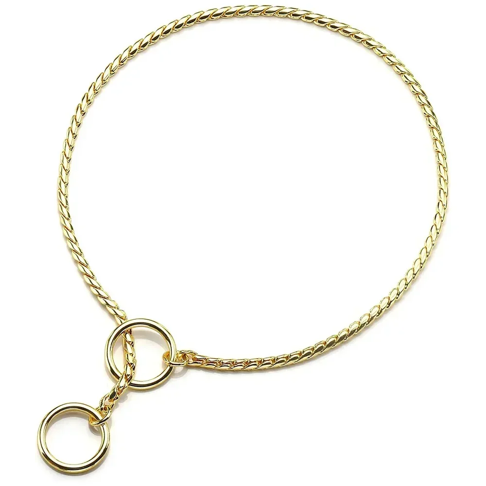 Brass Snake Chain Show Collar 3