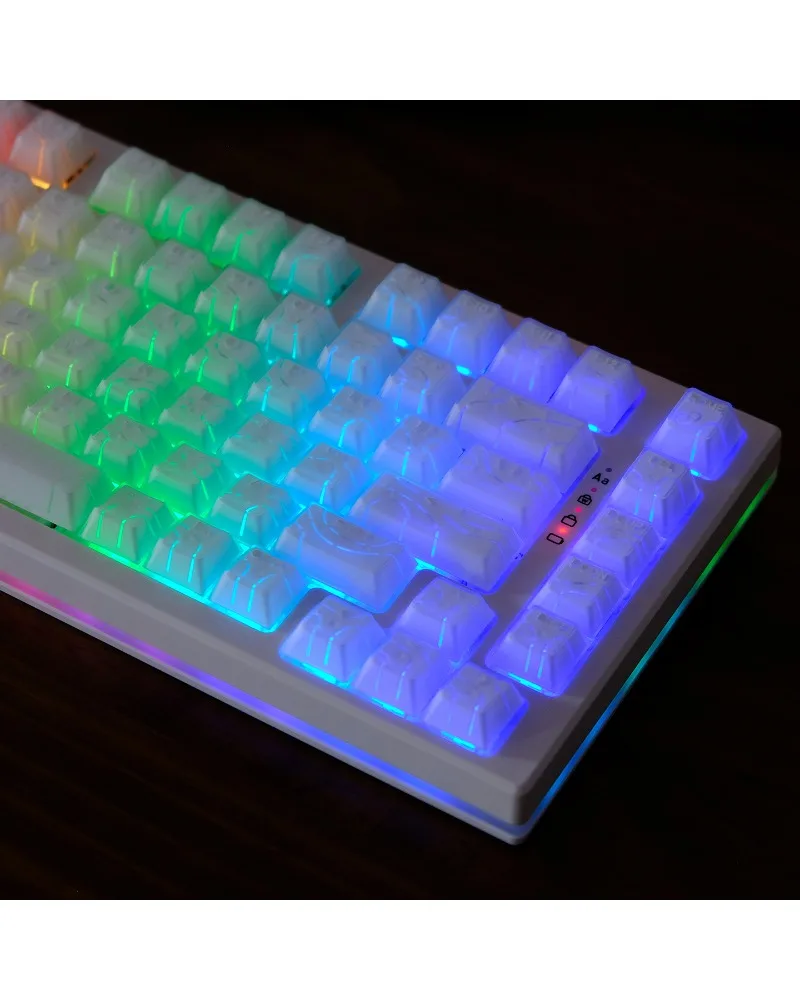 Keycaps X-ray Customized ABS Original wooting mechanical keyboard White corrugated contour semi-permeable