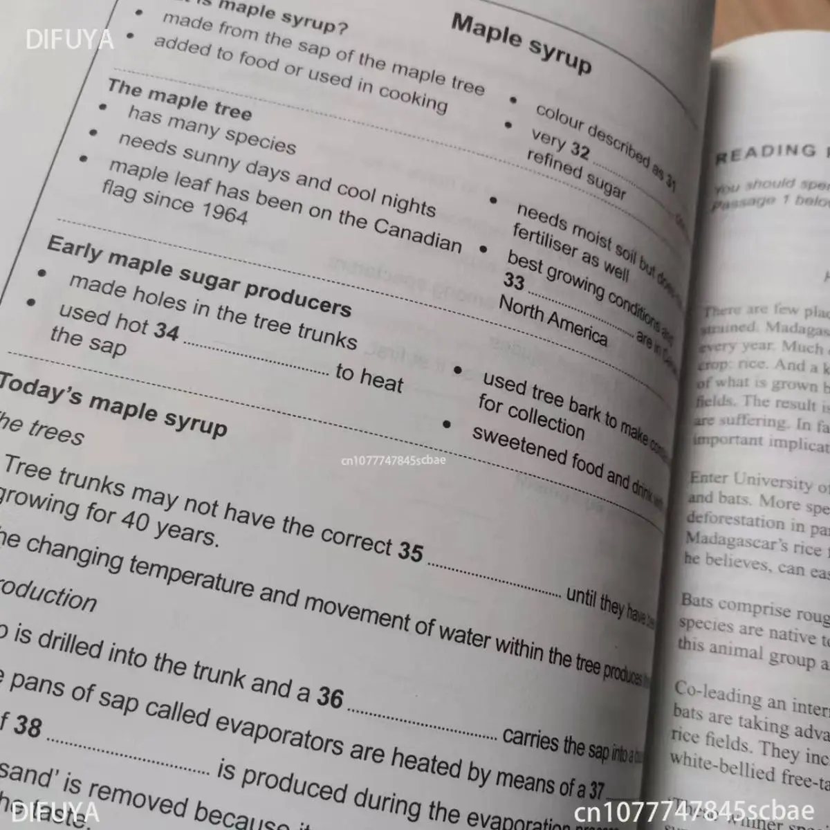 26 libri Cambridge English IELTS IELTS 17 Academic IELTS Zhenti 4-17 parlante ascolto lettura scrittura libro di studio