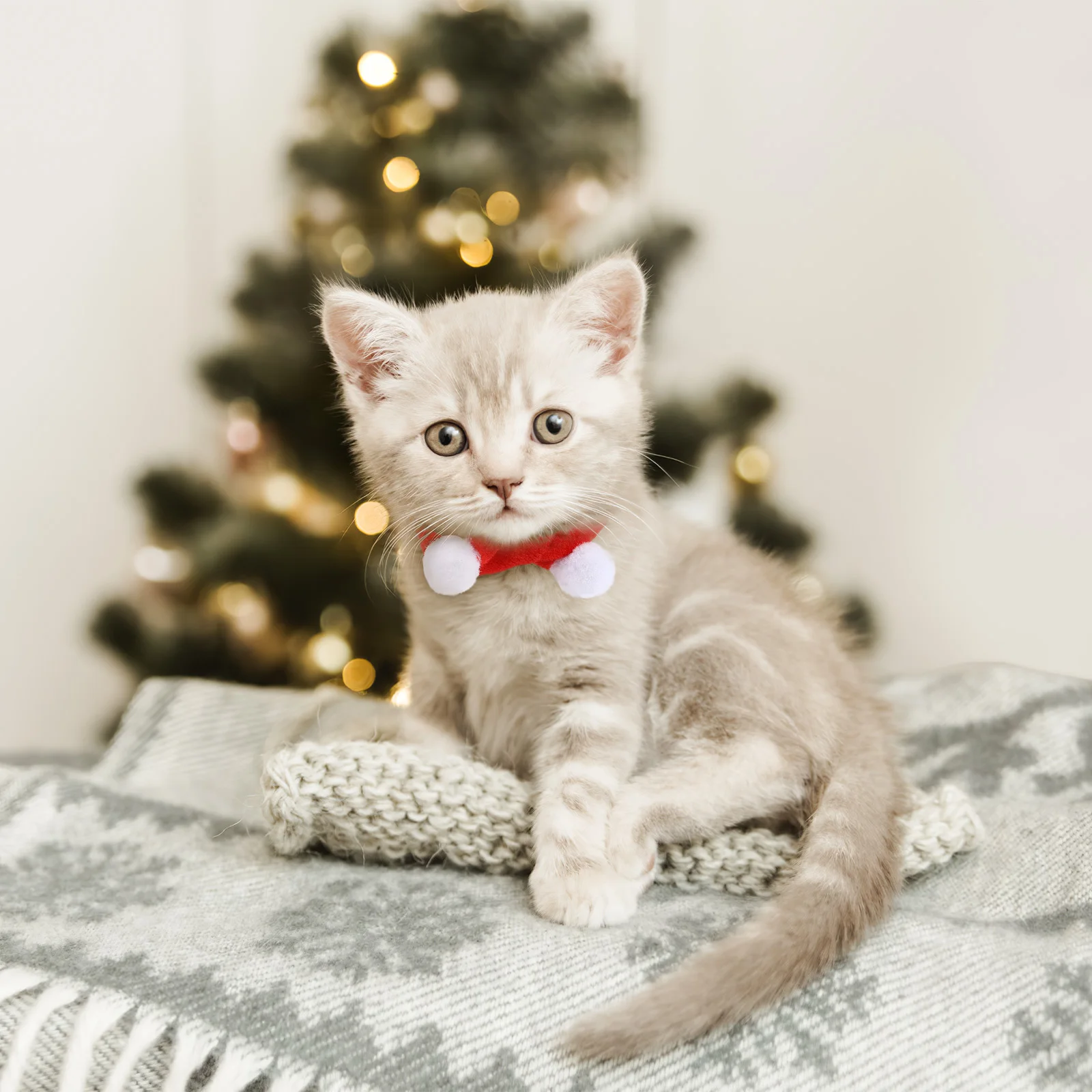 

10Pcs Christmas Mini Scarves Pet Costume Accessories Tiny Scarf Wine Bottle Decorations Xmas Crafts Mini Scarf