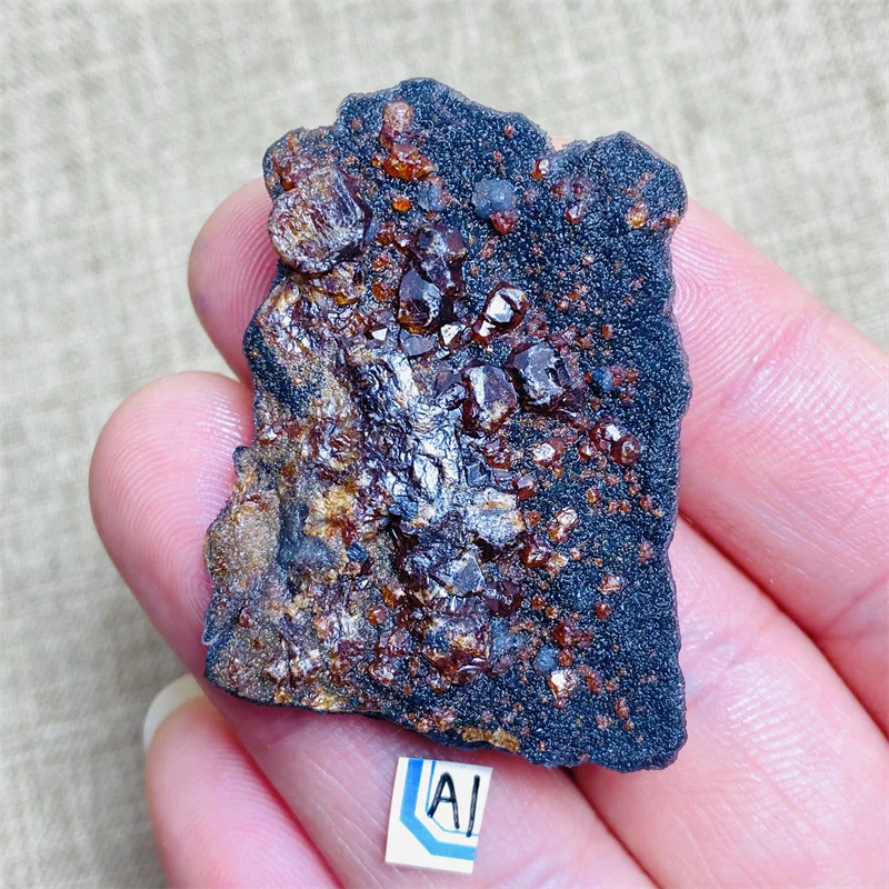 

Natural Crystal Garnet Symbiote Mineral Specimen Holiday Gift