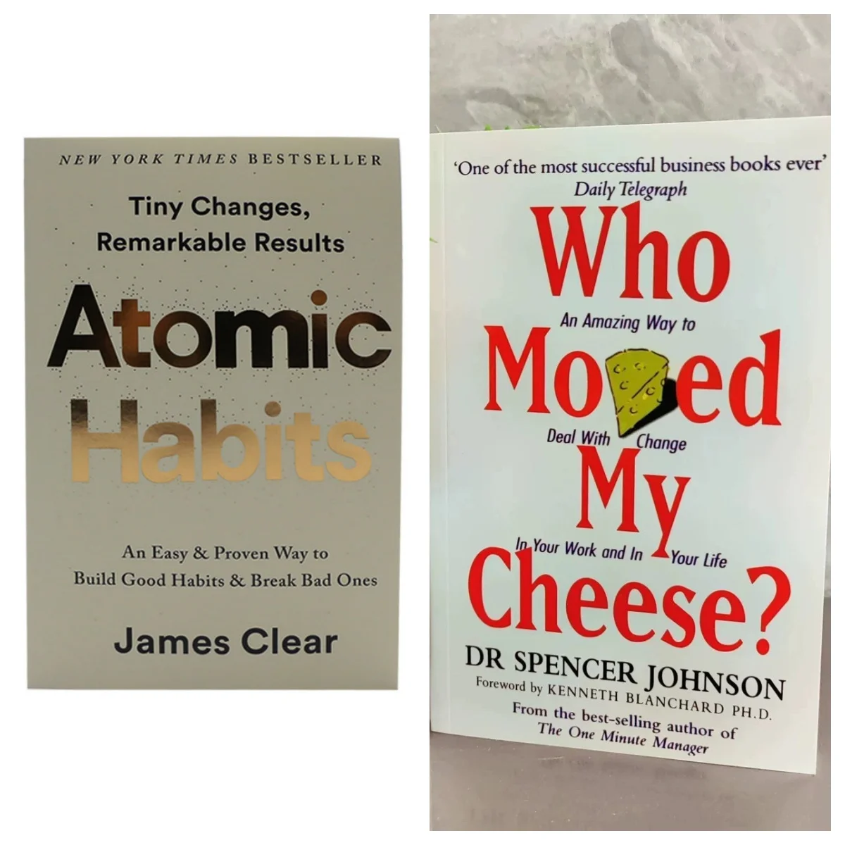 

Книги Bview Art 2: распыльные привычки и Who Moved My Cheese (с бесплатным подарком)