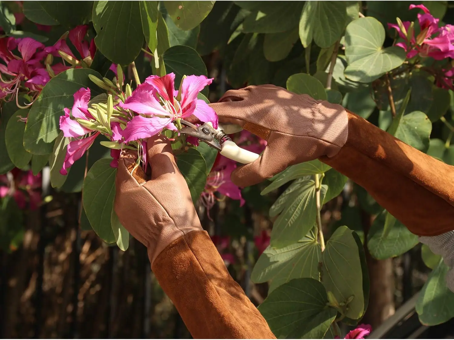 HANDLANDY Long Gardening Gloves for Men & Women, Pigskin Leather Rose Pruning Gloves- Breathable & Durable Gauntlet Gloves