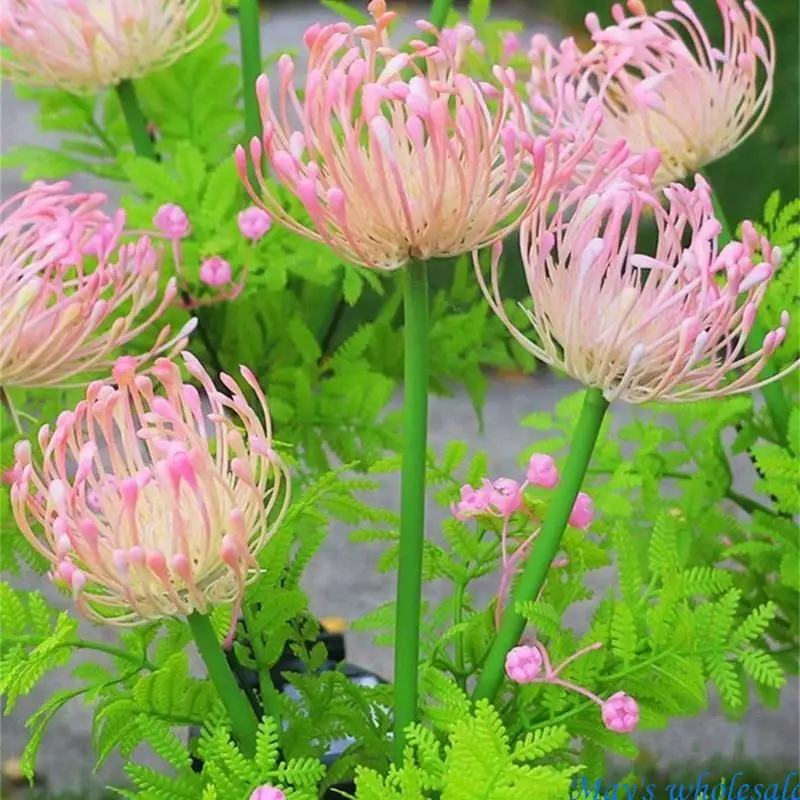 Outdoor Flowers Solar Garden Lights Solar Lights Waterproof Landscape 448A view 4