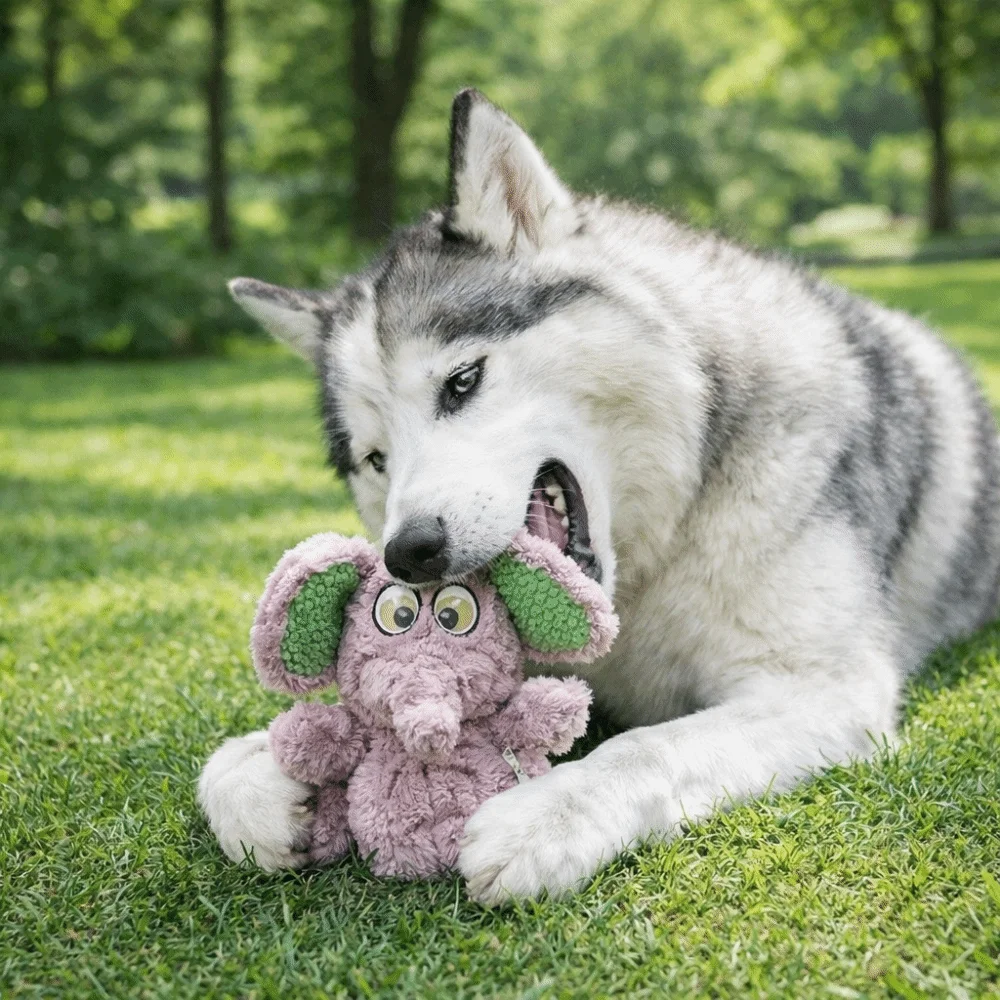 

Cute Bite Resistant Dog Chew Toy Cartoon Wear Resistant Squeaky Plush Dog Doll Stuffed Animal Dog Molar Toy Dental Health