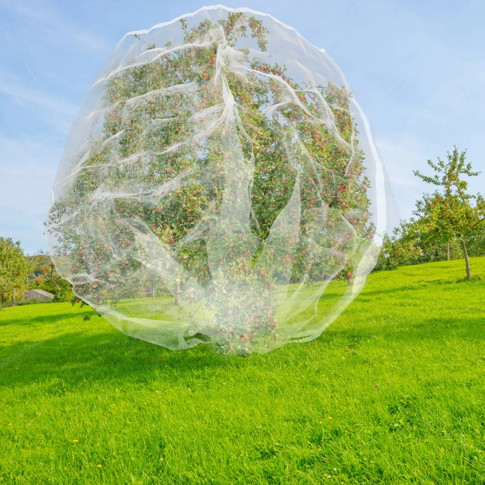 

Drawstring Mesh Bags Fruit Tree Netting Cover for Blueberry Bushes Garden Plants Protection Against Birds Squirrels