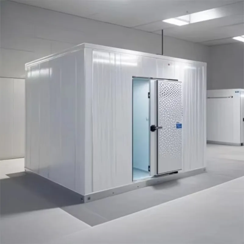 Good Quality Refrigerated Freezer Small Size Negative Mobile Cold Storage Room for Meat Seafood