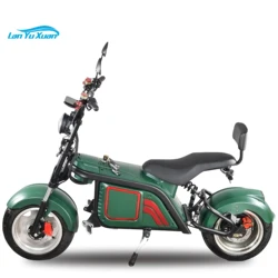 Off Road Electrical Scooter 2000W Electric City Coco Adult Fat Tire Citycoco 1500W With Removable Lithium Battery