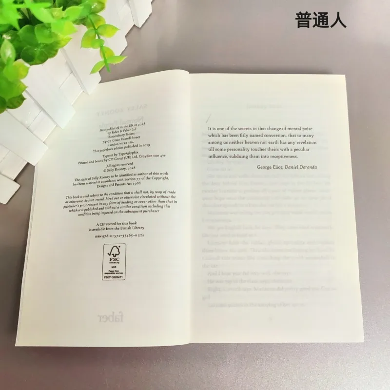 サリー・ルーニー: 平凡な人々の小説、就寝前に英語の本を読む大人